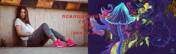 Альфа ПВП Вязники
