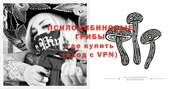 ALPHA-PVP Вяземский