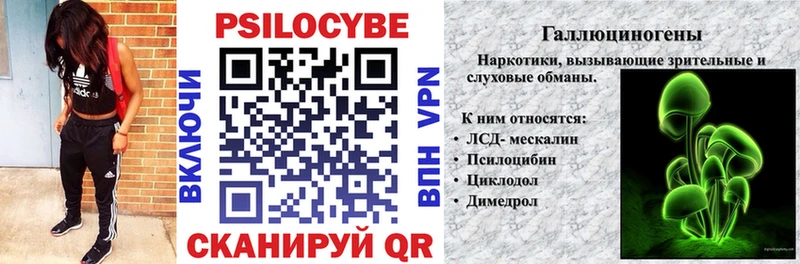 Галлюциногенные грибы Psilocybine cubensis  Купить  Староминская 