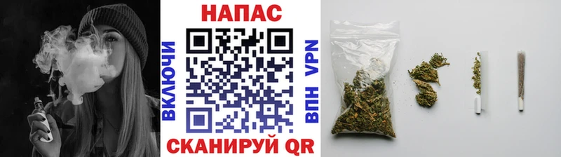 Купить где  Староминская  Марихуана сатива 